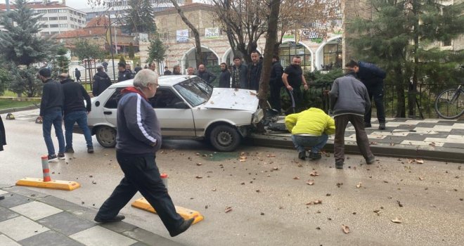 Köpeğe çarpmamak için ağaca çarptı....