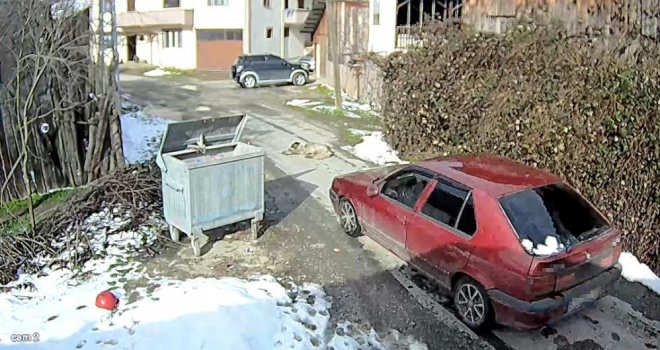 Köpeği ezen sürücü yakalandı...