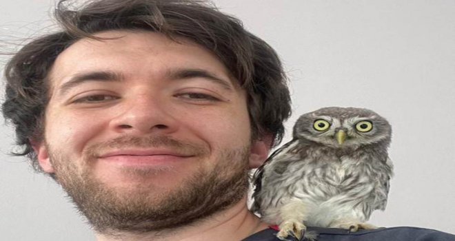 Kukumav kuşunu evinde besledi..