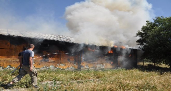 Kümes alev alev yandı: 20 bin adet canlı civciv telef oldu..