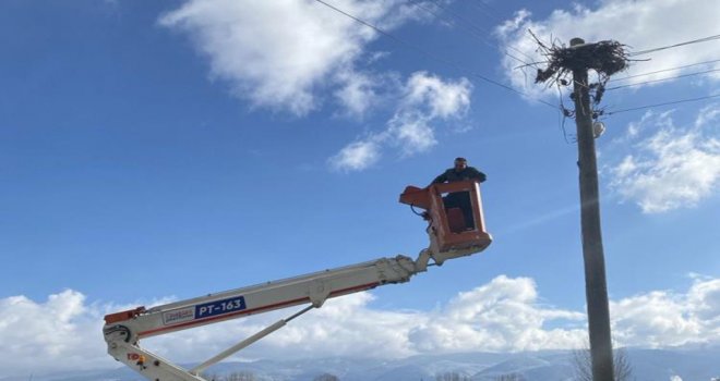 Leylekler yeni yuvalarına kavuştu…..