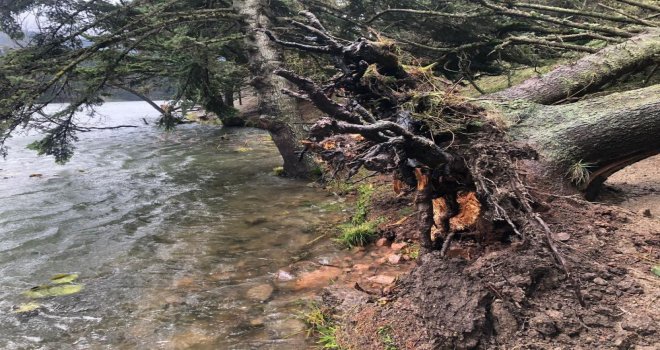 Lodos Gölcük Tabiat Parkı’nı yıktı geçti