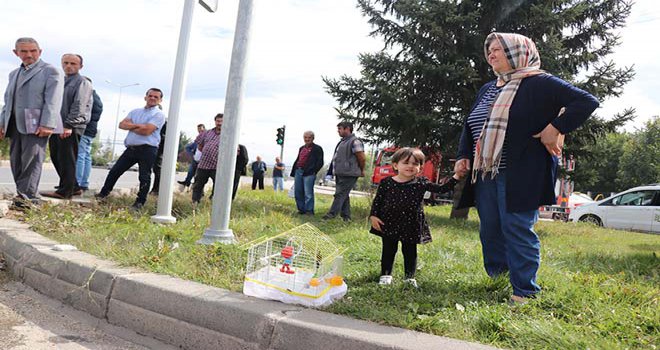 Minik Zehra, ‘şaşkın’ isimli kuşundan ayrılmadı