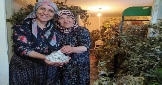Mudurnu’da kozacılık kadınlarla hayat buldu