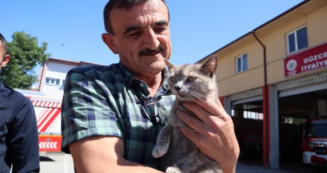Öfkeli yavru kedi sahibini görünce sakinleşti