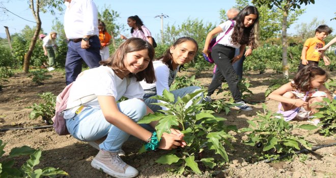 Öğrenciler dikti öğrenciler topladı