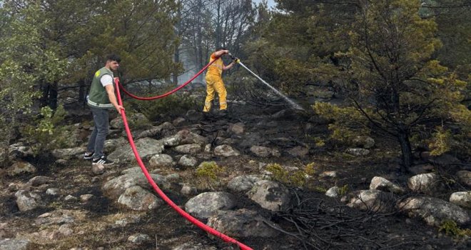Orman yangınına erken müdahale faciayı önledi....