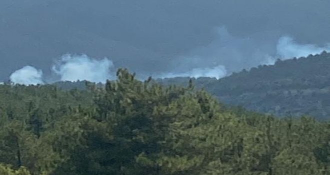 Ormanda yükselen dumanlar ekipleri harekete geçirdi