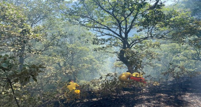 Ormanlık alanda çıkan örtü yangını korkuttu.....