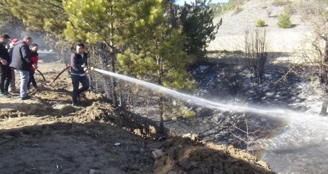 Örtü yangını ağaçlara sıçradı: Erken müdahale faciayı önledi