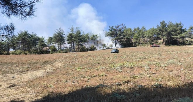 Ot yangını ormana sıçradı, erken müdahale faciayı önledi....