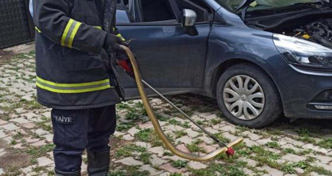 Otomobilin motoruna giren yılanı itfaiye çıkardı.....