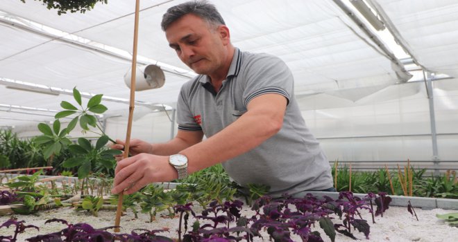 PARK VE BAHÇELER MÜDÜRLÜĞÜ’NDE YOĞUN MESAİ....