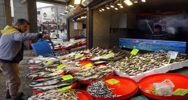 Ramazanda balığa ilgi az olunca fiyatlar geriledi