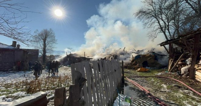 Samanlık ve ahır küle döndü: 3 büyükbaş telef oldu, 17'si kurtarıldı