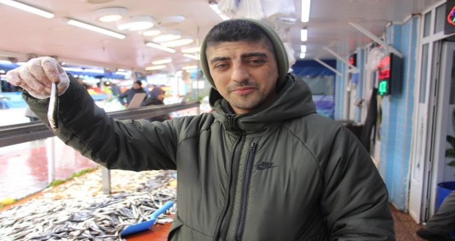 Sezonu bitmek üzere olan hamsi 150 liradan satışta..