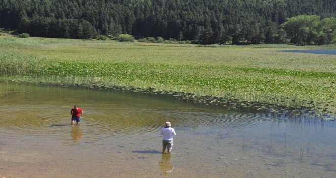 Sıcaktan bunalanların adresi doğa harikası Abant oldu........