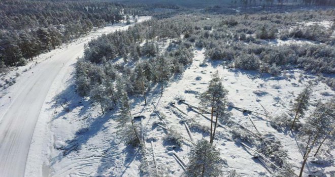 Şiddetli fırtına ağaçları devirdi