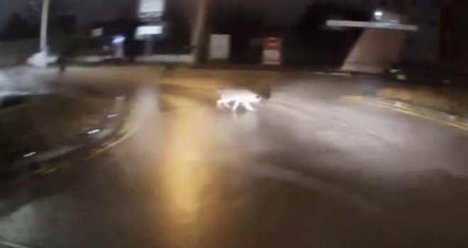 Sokakta köpeklerin kovaladığı genci böyle kurtardı: ‘Benim adım Hıdır elimden gelen budur’