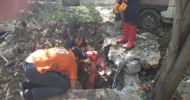 Su kuyusuna düşen at iş makinesiyle kurtarıldı