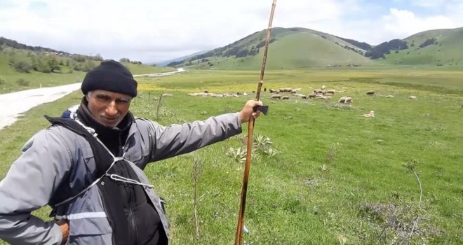 Sürünün peşinde 40 yıl geçirdi: Her gün kilometrelerce yol kat ediyor