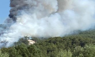  Bolu’da orman yangını.........