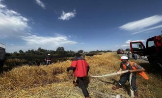 24 dönümlük buğday tarlası küle döndü..