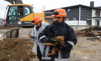 3 metrelik sondaj kuyusuna düşen yavru köpek kepçe yardımıyla kurtarıldı