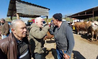 704 kiloluk dana için dakikalarca pazarlık yaptılar