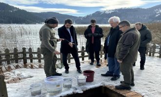 Abant Gölü Milli Parkı'na 3 bin 500 yavru balık bırakıldı