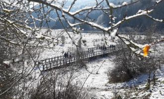 Abant her daim büyülüyor......
