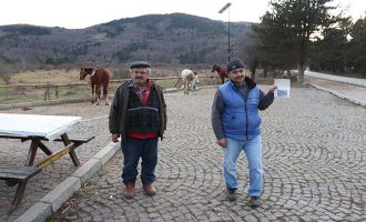 Abant Tabiat Parkı’ndaki at sahipleri konuştu