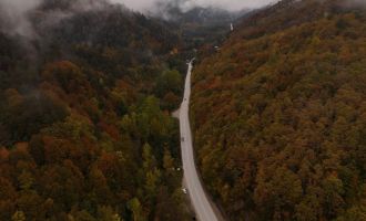 Abant yolunda sonbahar güzelliği dronla görüntülendi........