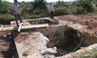 Aç kalan bozayı, ölü tavukların atıldığı kuyuya düştü