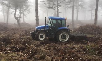 Aladağ’da doğal gençleştirme çalışmaları tamamlandı