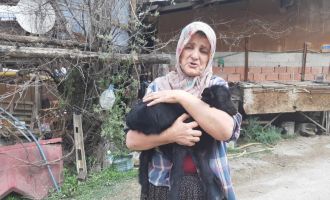 Alevler arasından kurtarılan yavru oğlağına kavuşmuştu: “Dünyayı o an bana verselerdi umurumda olmazdı”