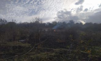 Anız yangını ormana sıçramadan söndürüldü........