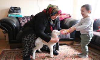 Annesinin sahiplenmediği kuzuya evde bebek gibi bakıyorlar