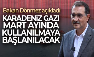 “Aralıkta doğal gazda bir fiyat değişikliği olmayacak”