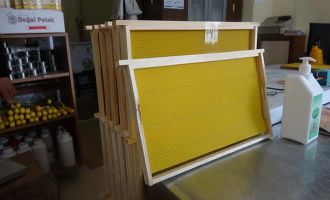 Arılar üşüme tehlikesiyle karşı karşıya