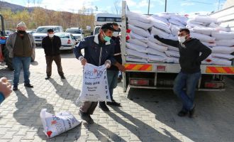 Atıl araziler fiğle yeşeriyor