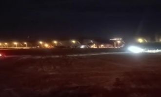 Ayı sokağa indi, vatandaşlar ayının peşine düştü