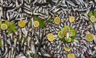 Balık tezgahlarında hamsi yok, vatandaş diğer balıklara yöneldi