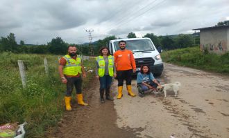 Bartın’da selden kurtarılan 15 köpek Bolu’da tedavi altına alındı
