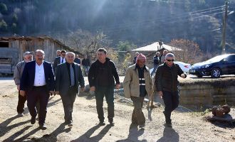 Başkanvekili Güldal Tekkedere Köyü’nde incelemelerde bulundu