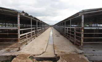 Bayrama günler kala hayvan pazarında sessizlik: ‘Alıcı da satıcı da kararsız’.....