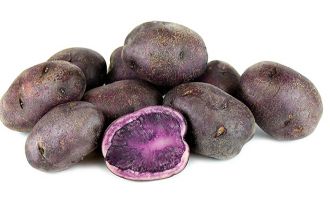 Bolu Belediyesi ‘ATA TOHUMLARI’na sahip çıkıyor