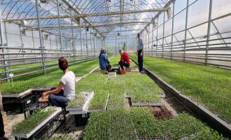 Bolu Belediyesi tarımsal faaliyetlere öncülük etmeye devam ediyor.....