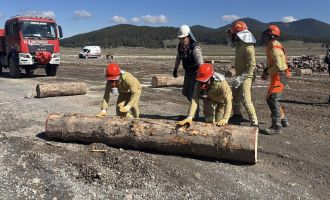 Bolu en hızlı ormancılarını seçiyor……