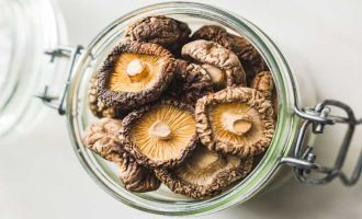 Bolu ormanlarında mantar bereketi: 25 kilo kanlıca topladı